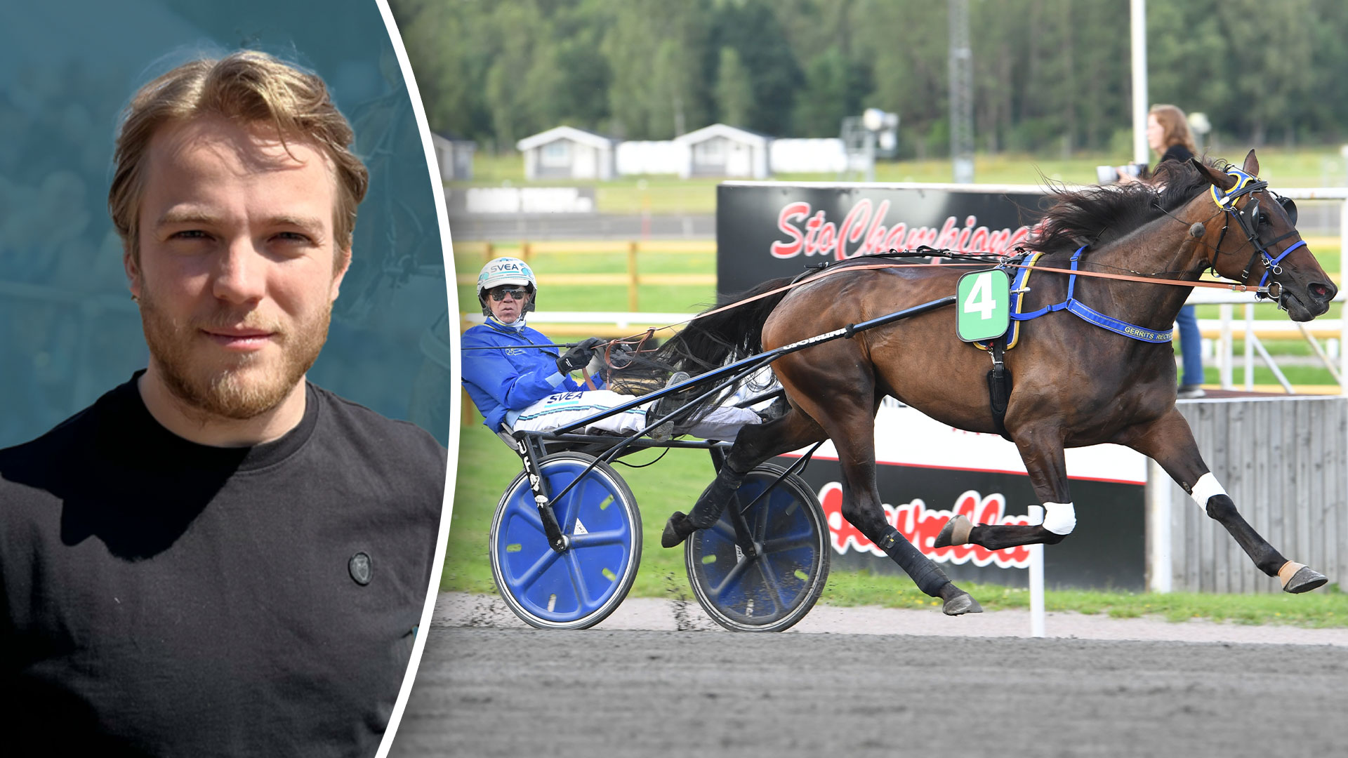Lista: Emil betygsätter hästarnas egenskaper i Stochampionatet