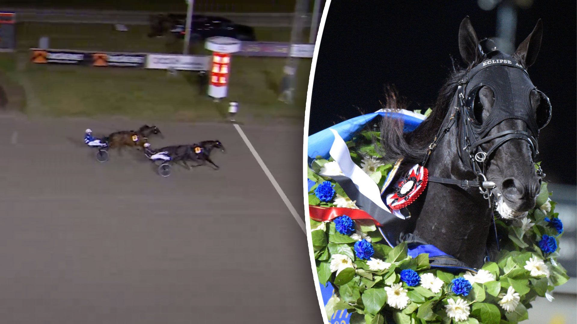 BC-vinnaren flyttas – siktas mot Frankrike