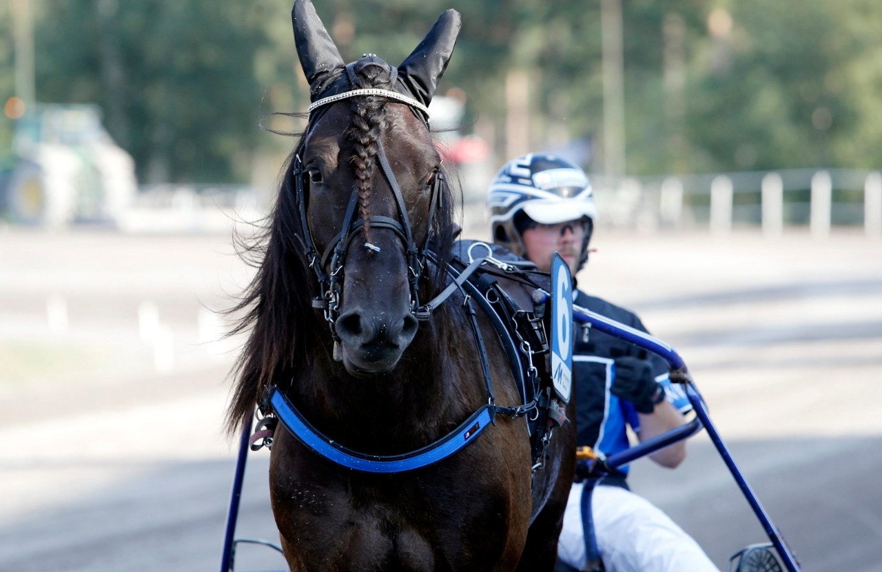 Bollnäs 3 januari: Bricka tolv - är vinnarläget