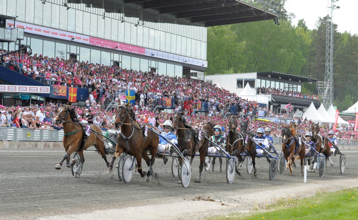 Elitloppet 2025 publik