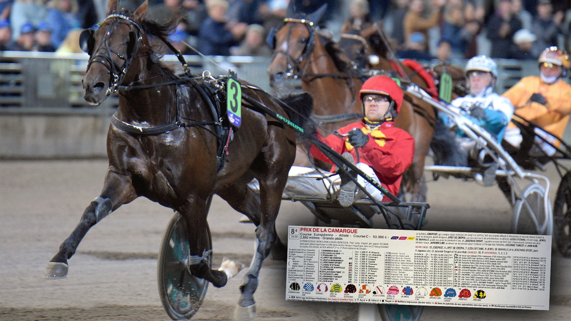 Så rankar Frankrike heta svenskhästen