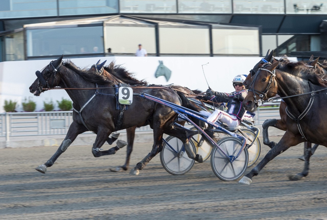 Tips Solvalla 25 juni: The Bald Eagle bästa liret