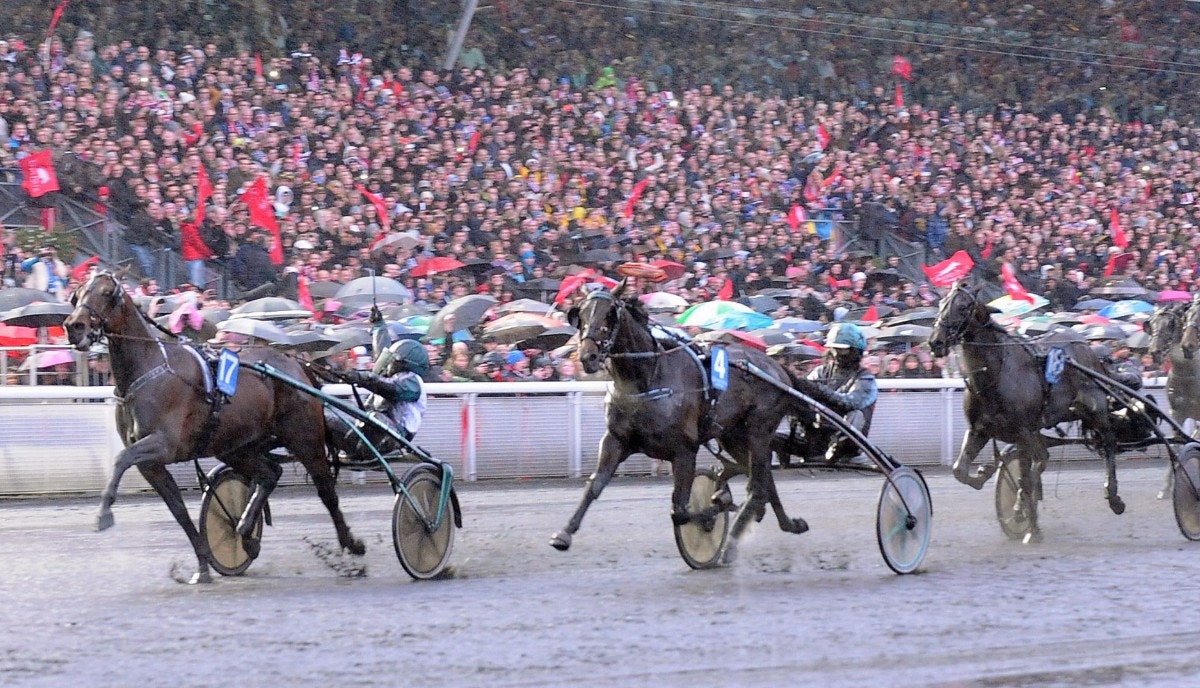 Maharajah vid karriärens största ögonblick, segern i Prix d'Amérique 2014. Foto: ALN