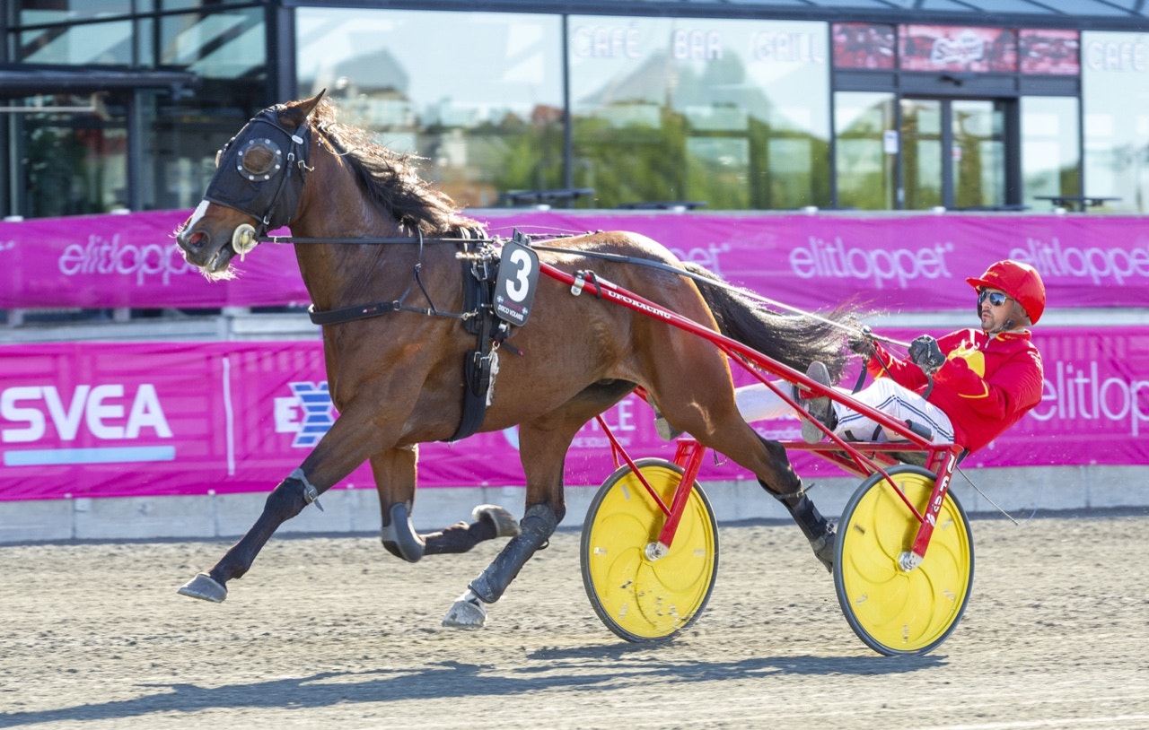 Disco Volante blir vårt val i Årjängs Stora Sprinterlopp - Foto: ALN