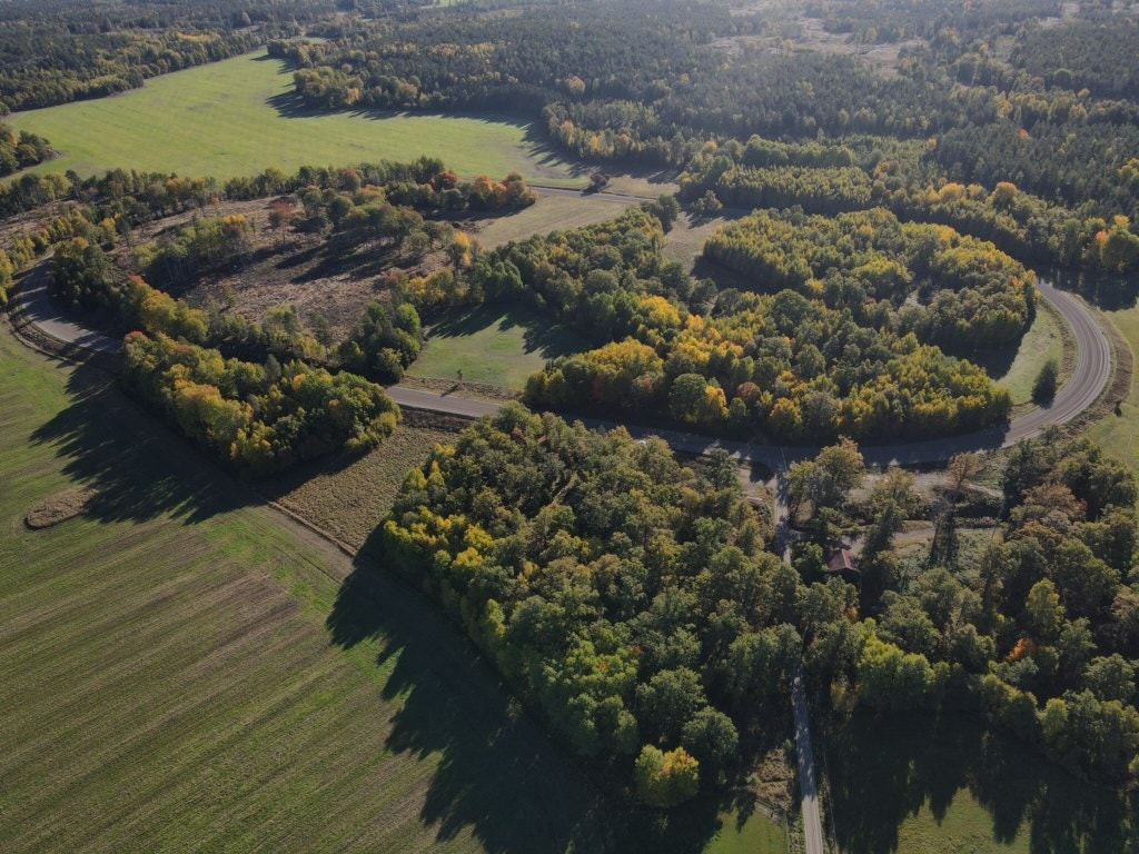 En bra start kan avgöra hela karriären – därför väljer hästägare Meilink Trav