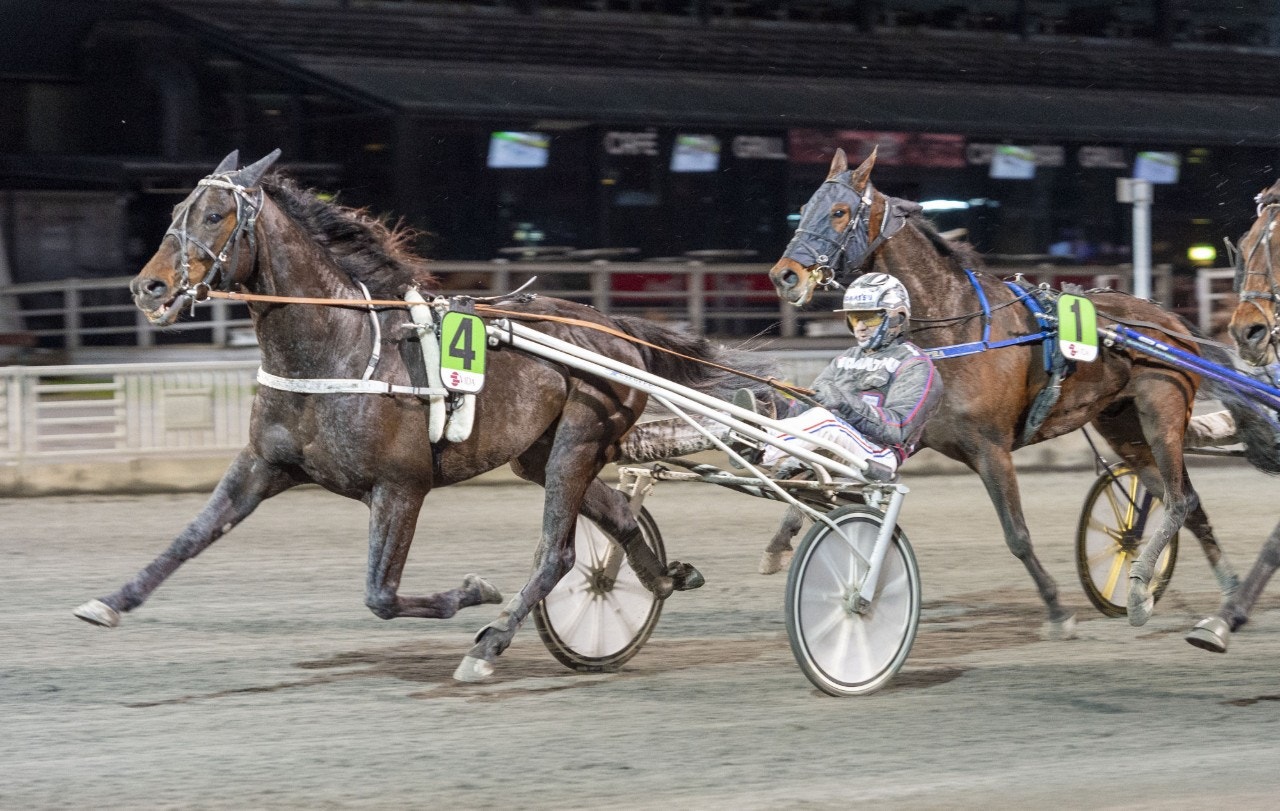 Makethemark löste årsdebuten med enkel seger. Foto: Tommy Andersson, ALN