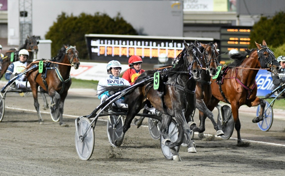 Aetos Kronos levererade en vass årsdebut och spurtade förbi Green Manalishi till segern. Foto: Göran Lindskog, ALN