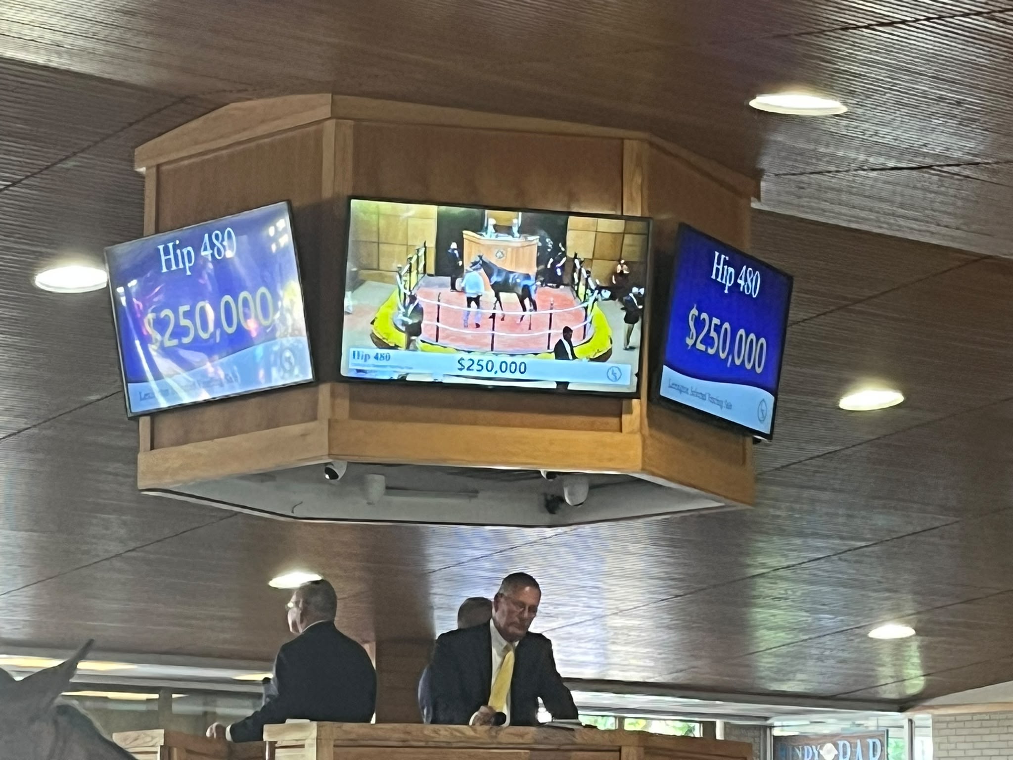 Tre skärmar i en auktionslokal visar en häst i auktionsringen och budet 250 000 dollar för Hip 480. Under skärmarna syns två män i kostym vid en läktare.