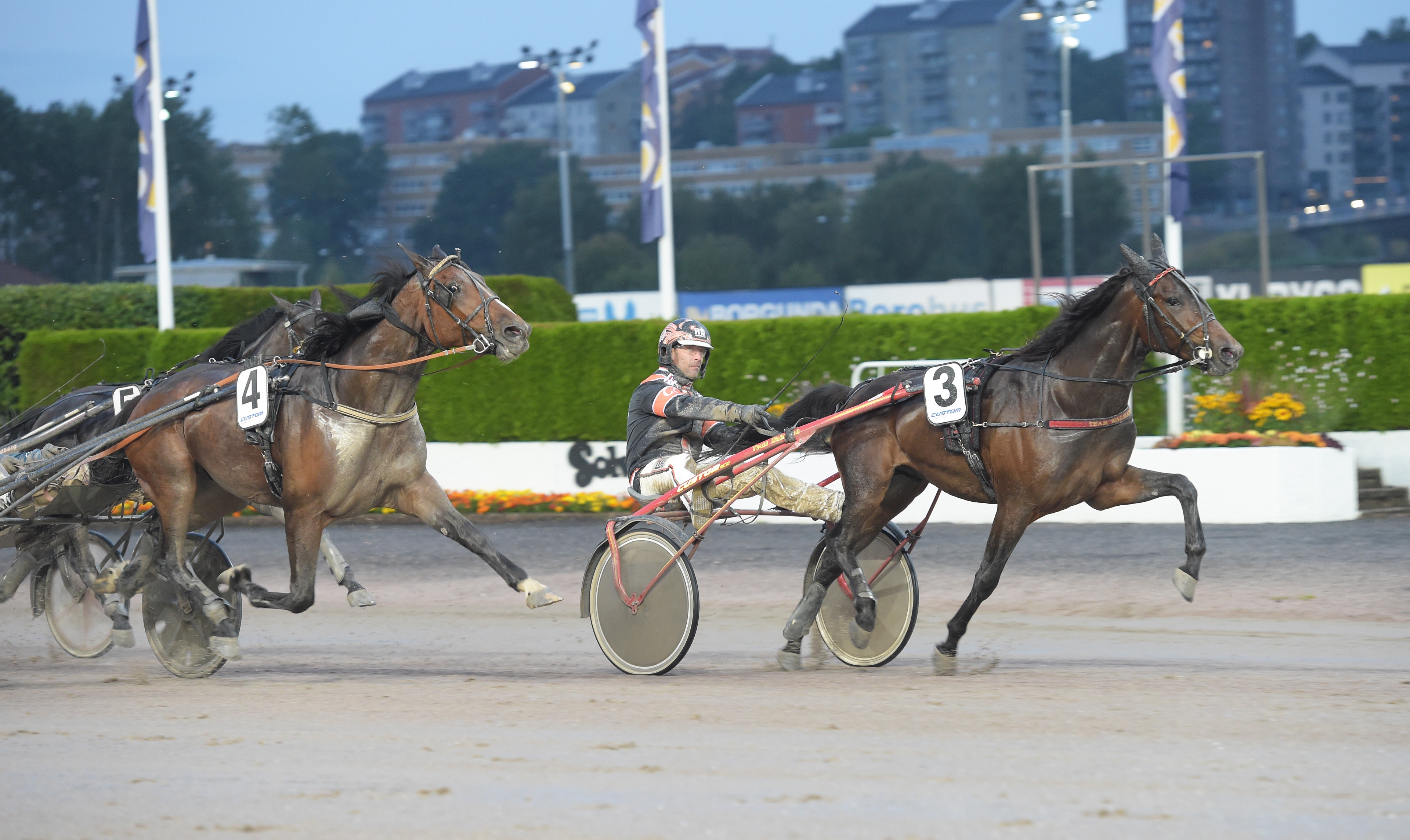 Foto: LARS JAKOBSSON / TR Bild
