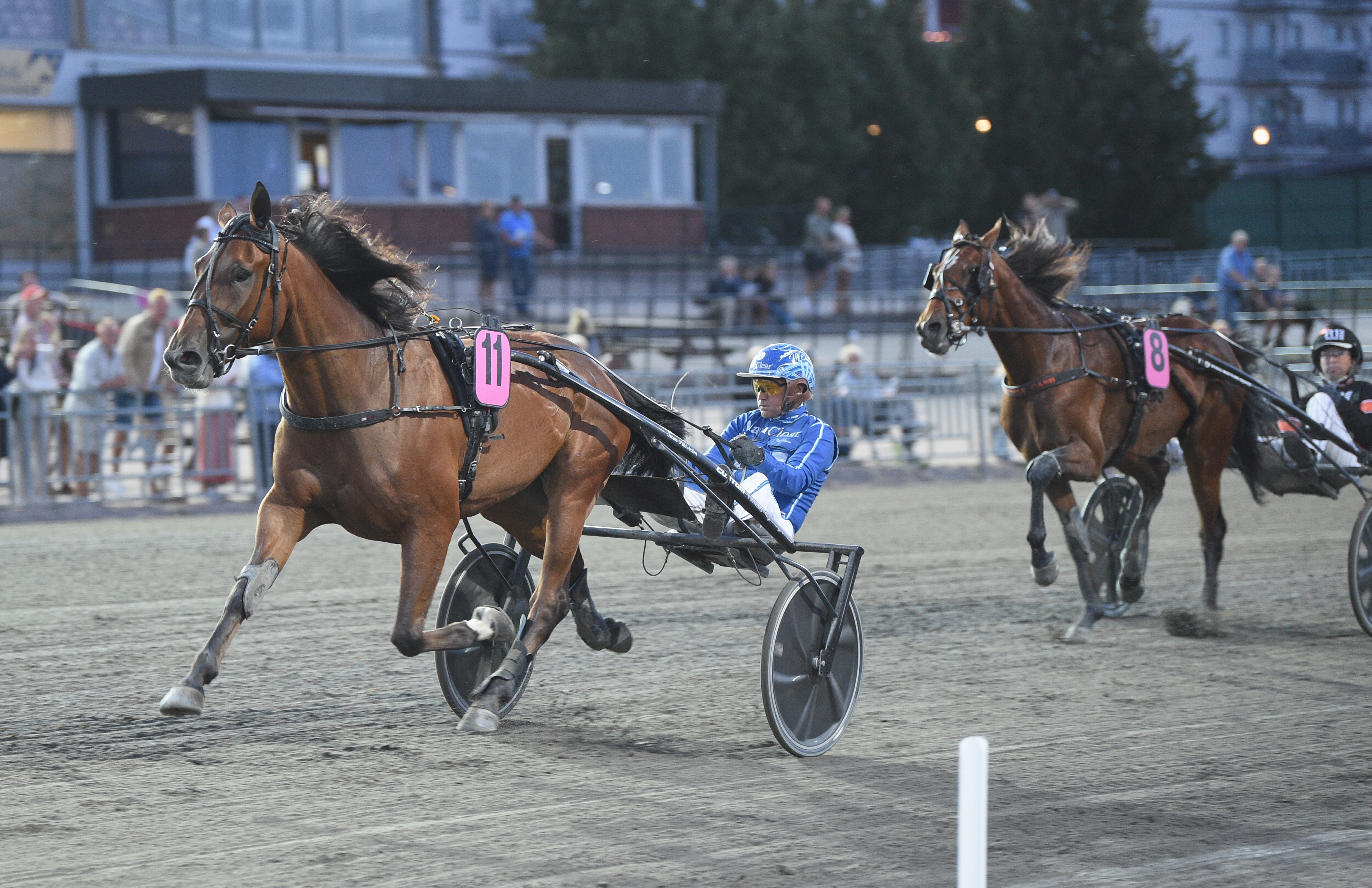 Två travhästar med kuskar i blå och svart tävlingsdräkt kör på en sandbana under ett travlopp. Åskådare sitter längs banan och följer tävlingen.