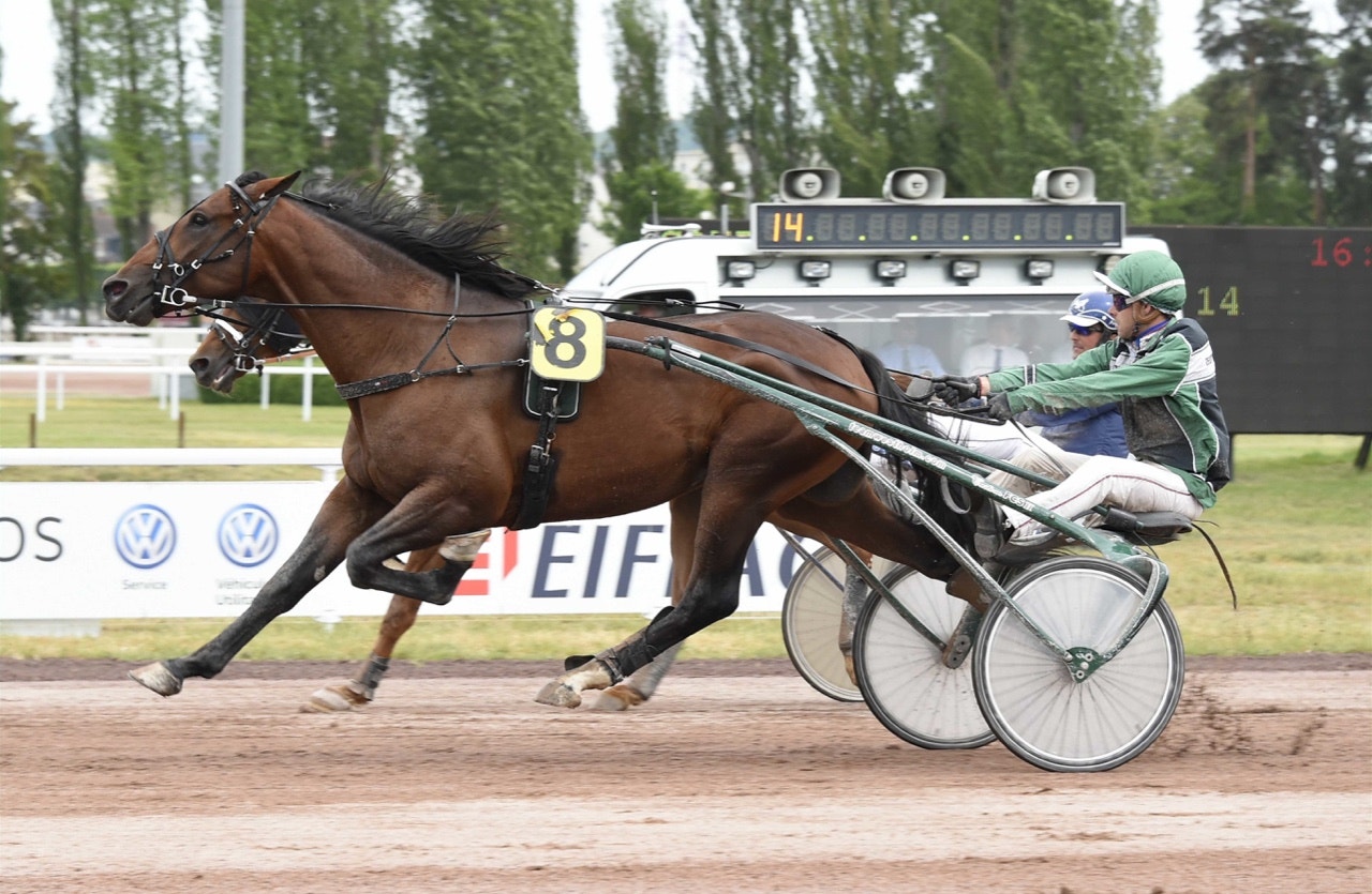 Westholm-seger i Vichy - nära för Toddler