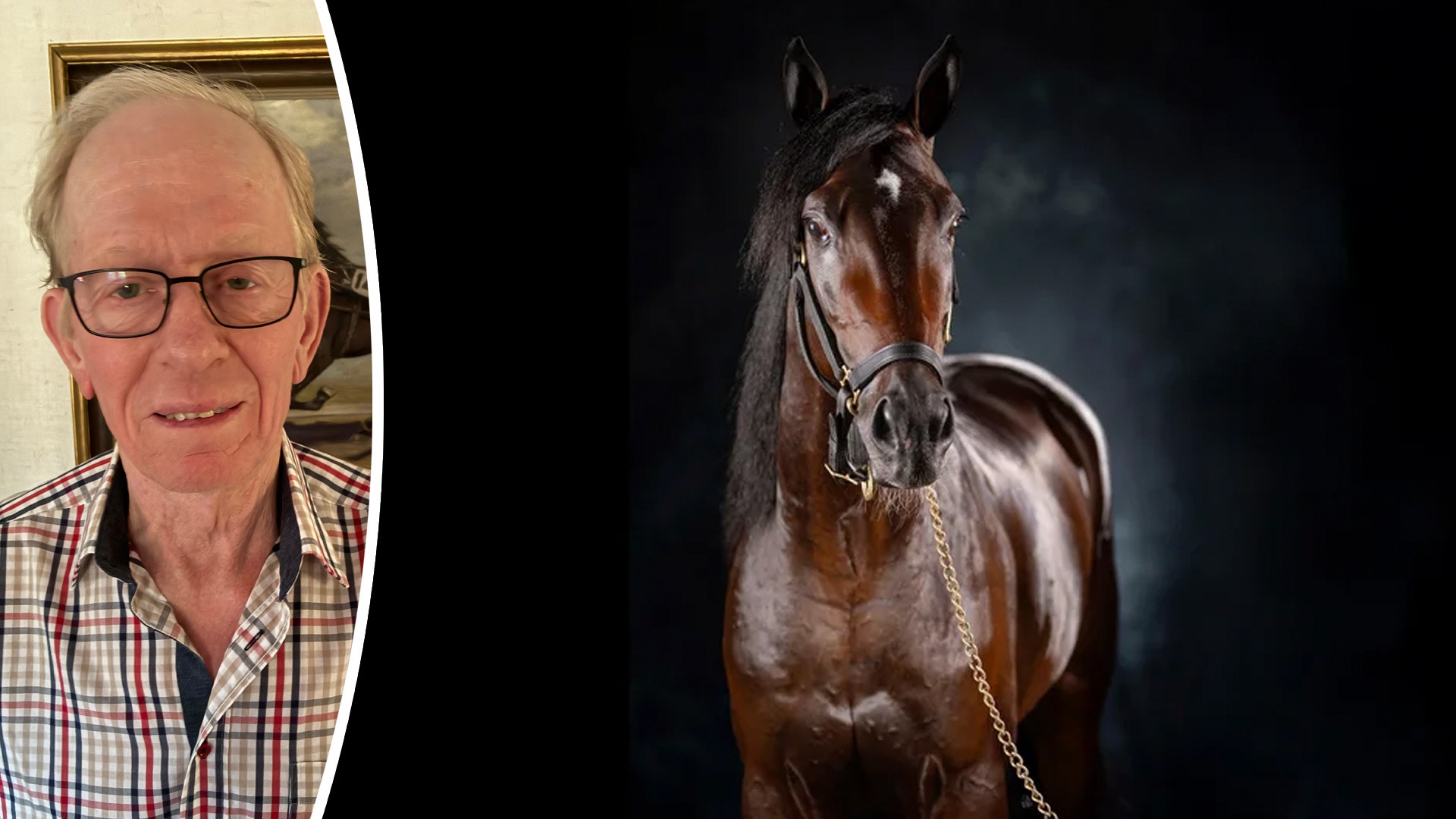 Flygande start i svensk avel för Fourth Dimension