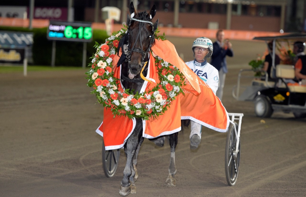 Missle Hill flög lågt