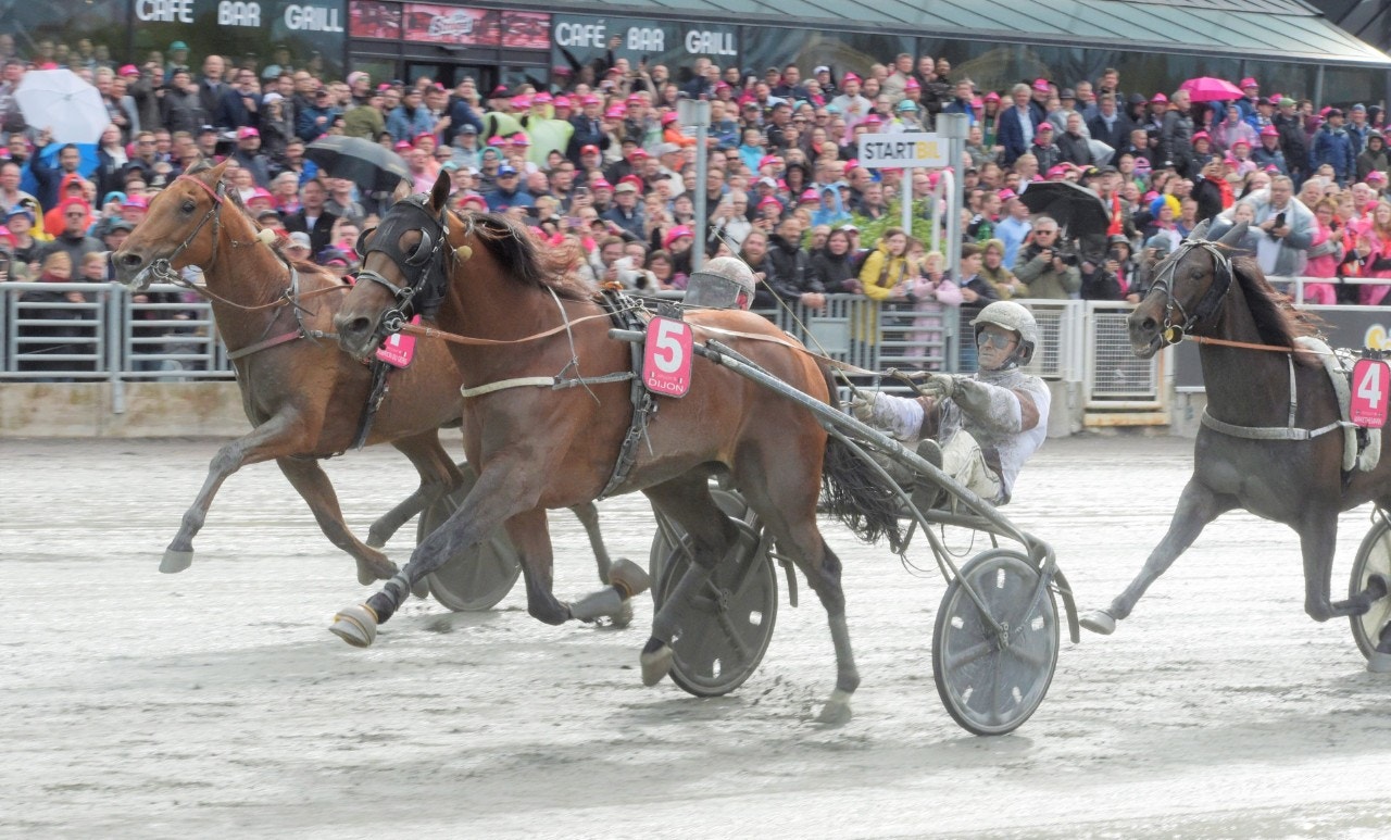 Elitlopps-vinnaren Dijon ser ut att få möta Bold Eagle i Prix René Ballière. Foto: Leif Norberg, ALN