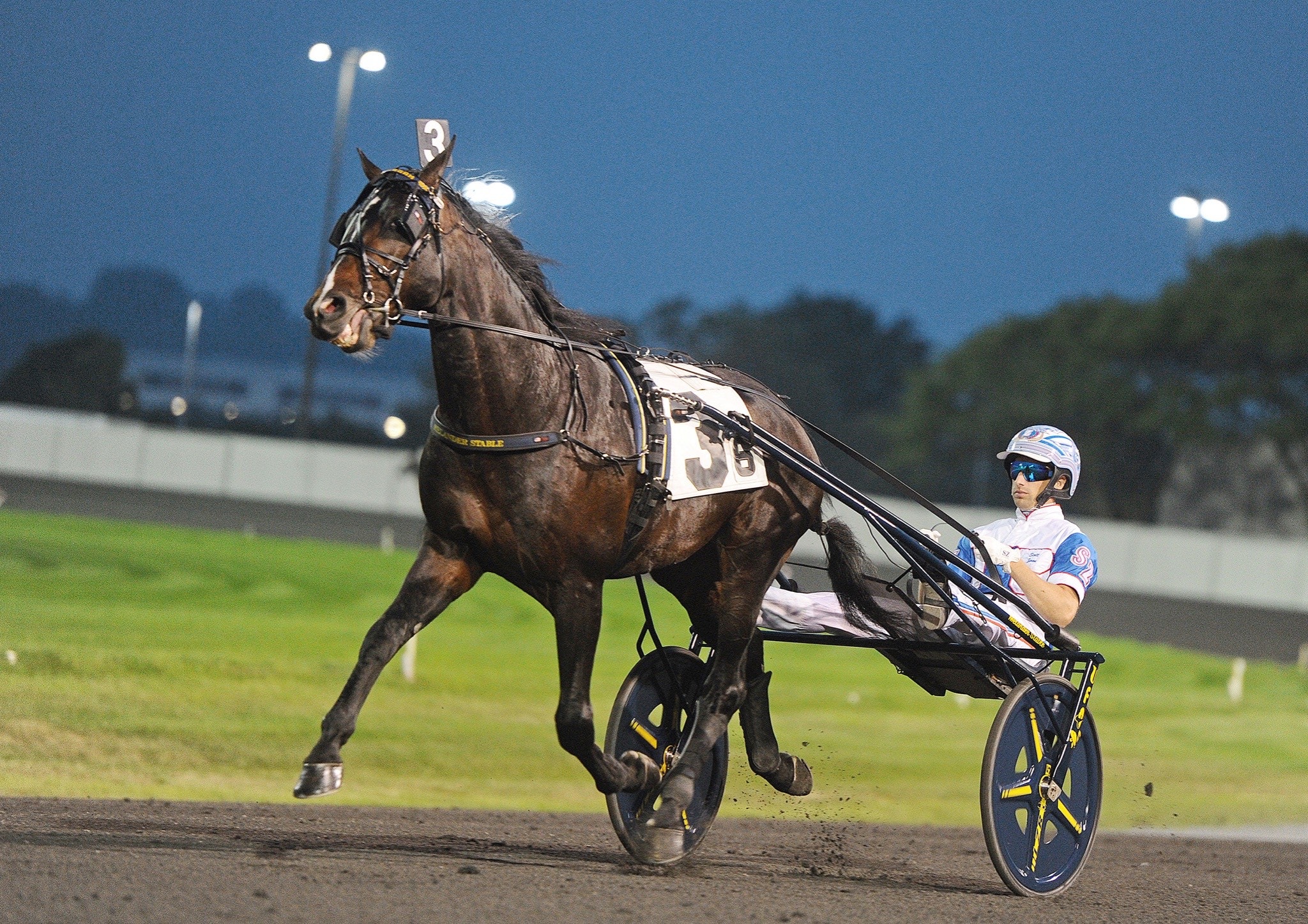 AVSLÖJAR: Svenska kuskstjärnan klar för Hambletonian 