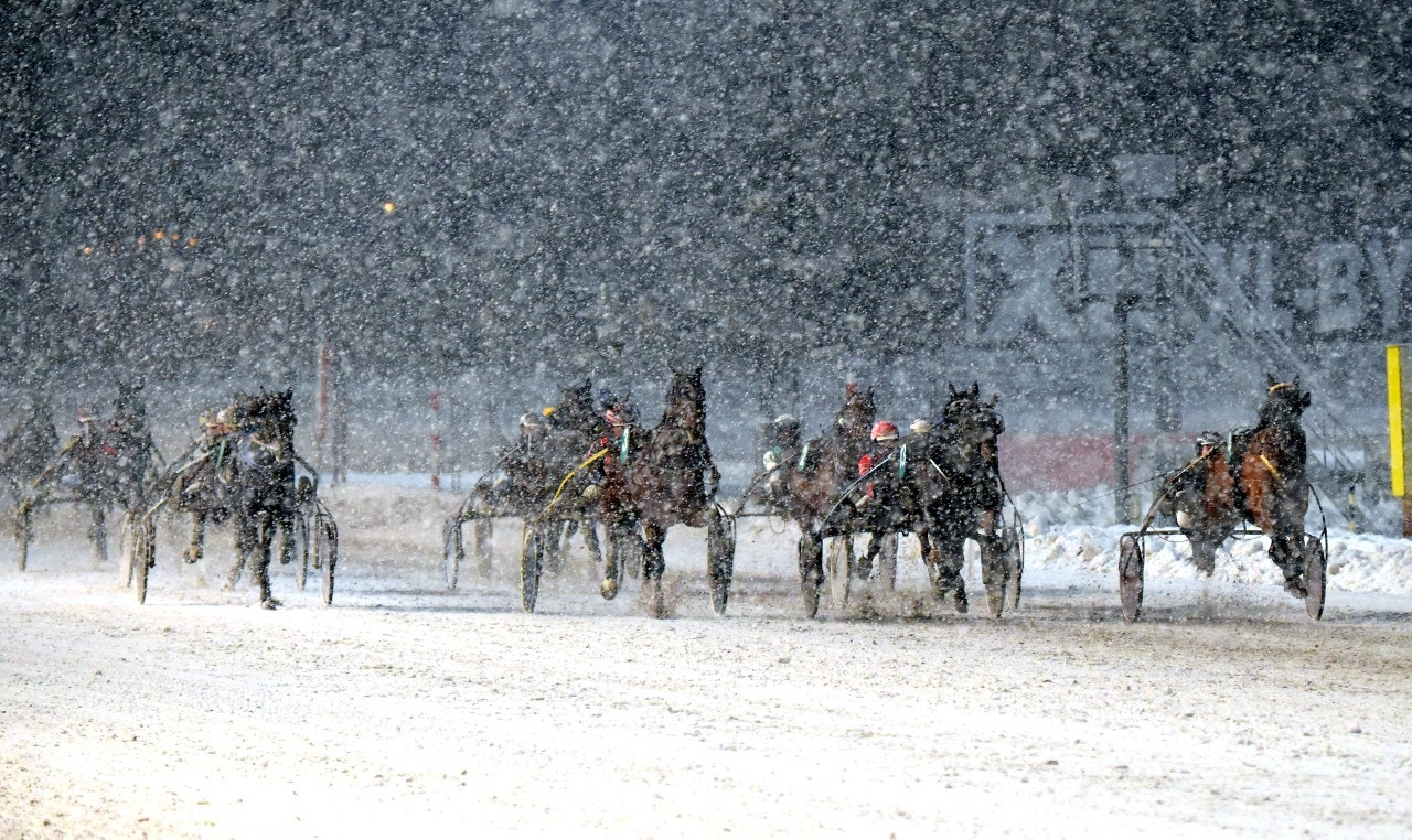 Höst och vinter medför tuffa tider för alla aktörer inom travsporten. Genrefoto: Martin Langels, ALN