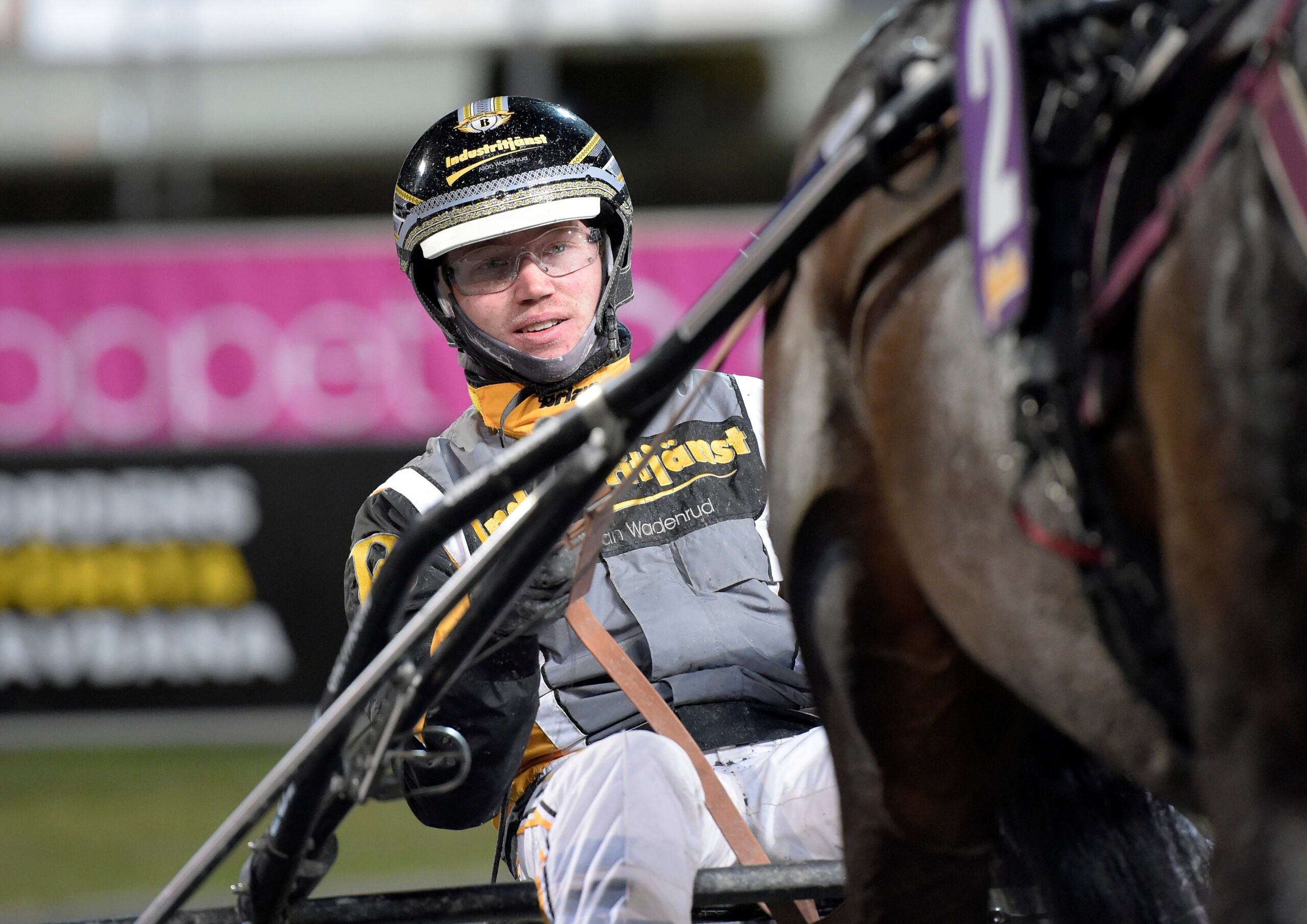 Foto: Lars Jakobsson/TR Bild