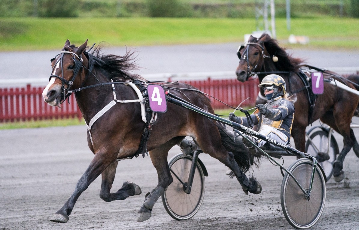 Vännfors Stjärna ska ha bra möjligheter i kväll. Foto: Ola Westerberg, ALN