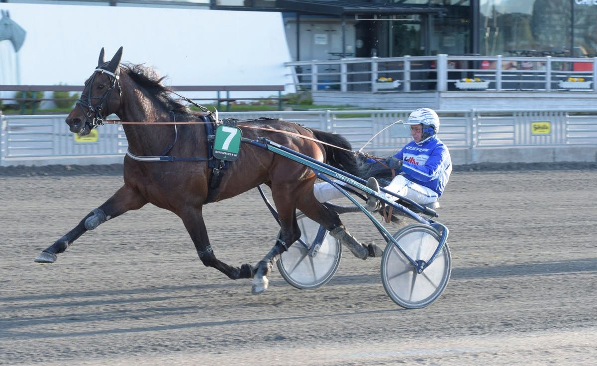 (140369) Vaduz Wise AS mål (1)