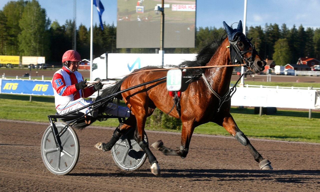Golden Dream M.E. anförde varje meter av Jarlsberg Grand Prix-finalen. Foto: Hanold, ALN