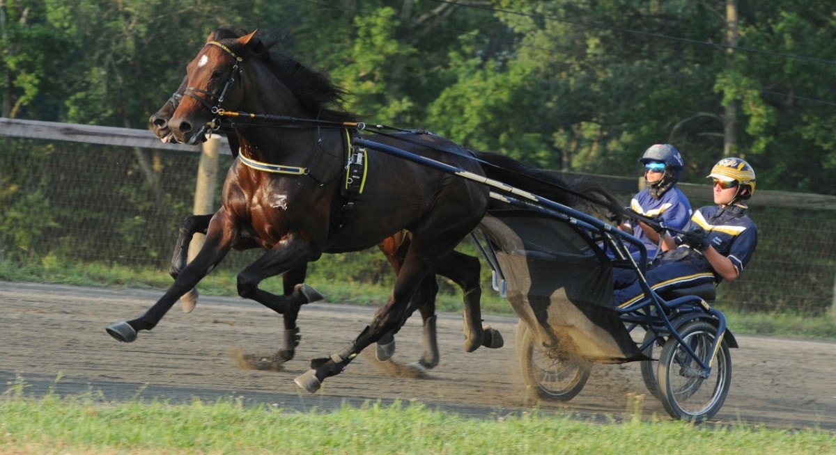 Green Manalishi har landat