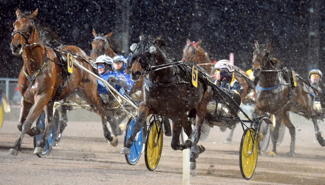 Milligan's School kontrade sig urstarkt till segern i Smedträffen. Foto: Martin Langels, ALN