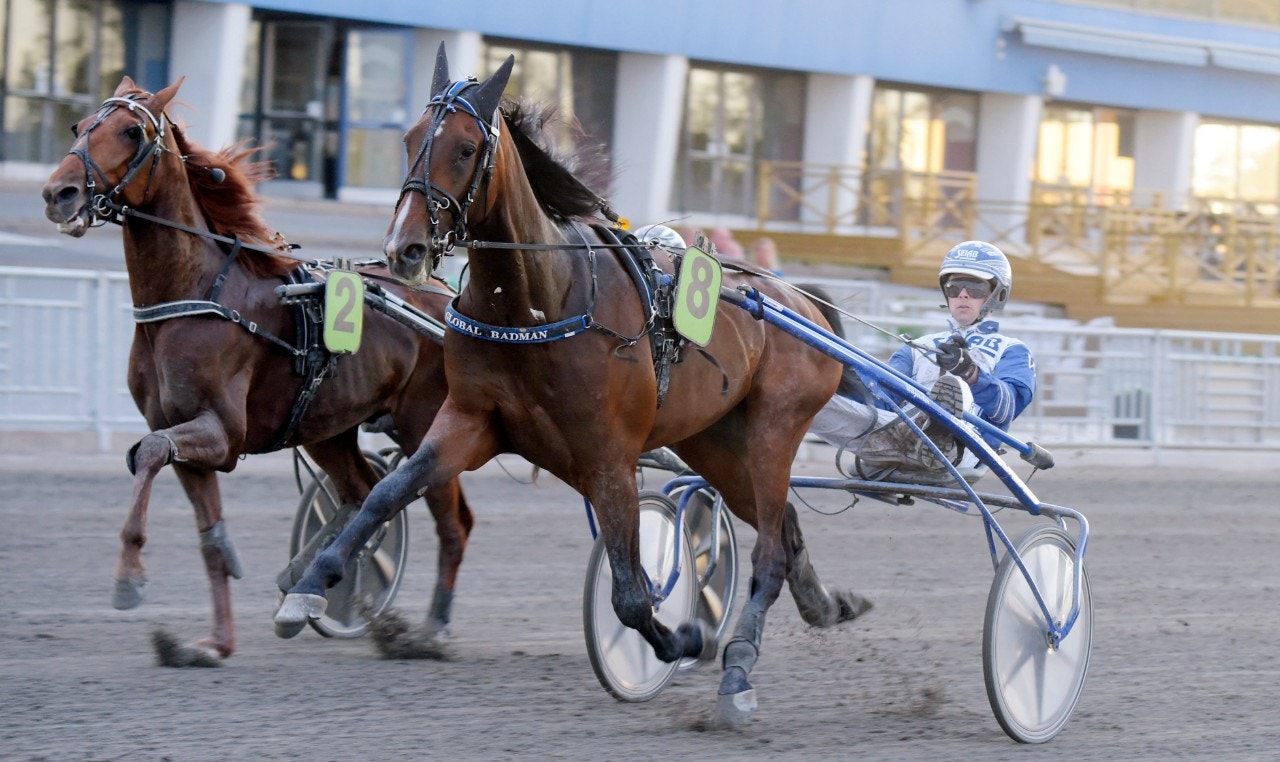 Global Badman visade sina stora kvaliteter när han säkrade sin E3-plats genom seger. Foto: Martin Langels, ALN