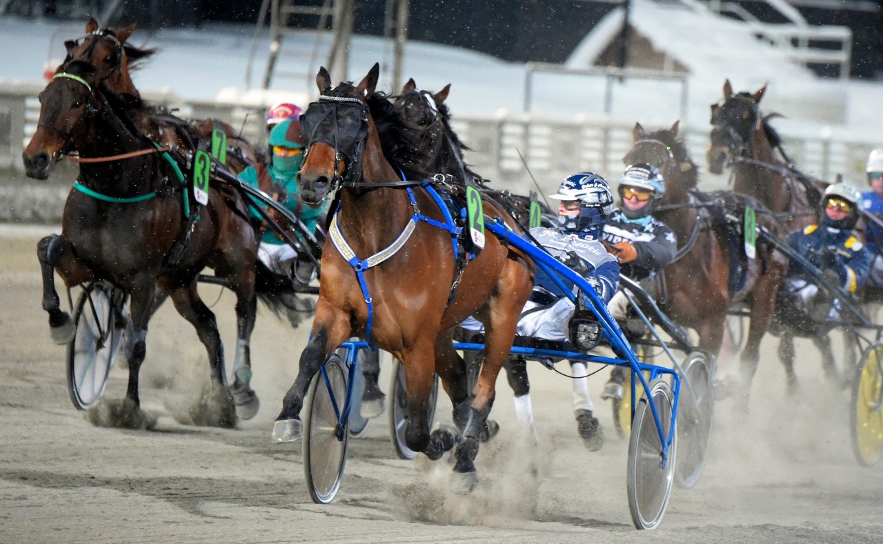 Spännande miljöombyte – till stortränaren