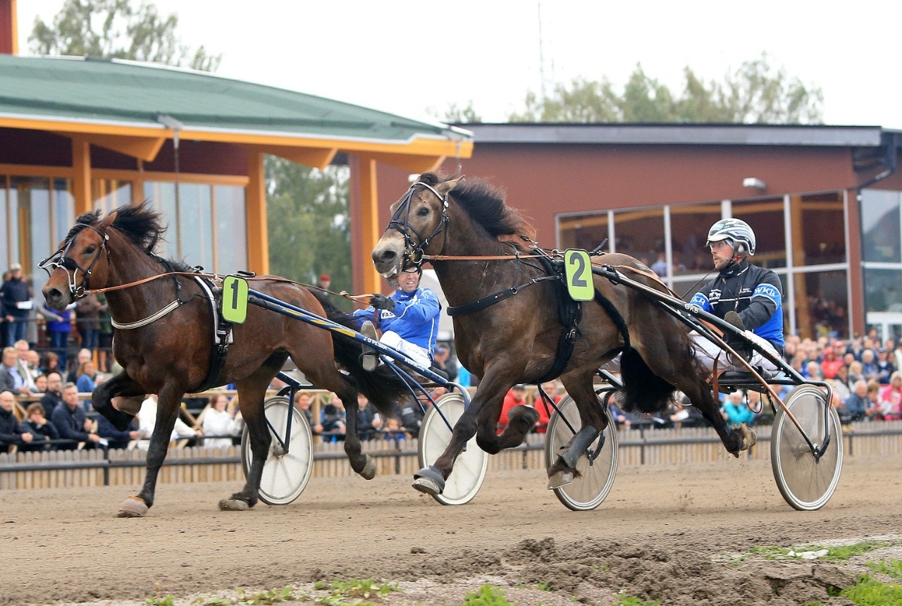 Bäcklös Uriel överraskande vinnare från ledningen i Kallblodskriteriet. Foto: Girlpower HB, ALN