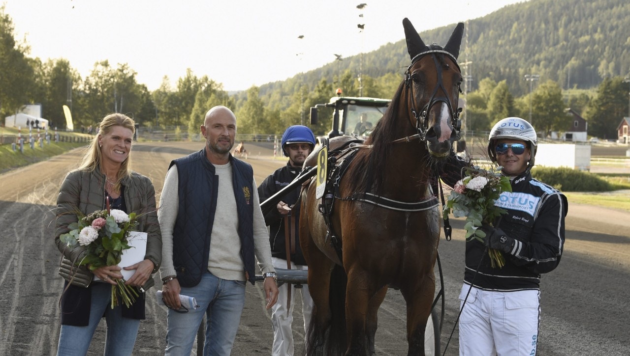 Solvalla/Åby 18 december: Bergh gör ingen tavla!