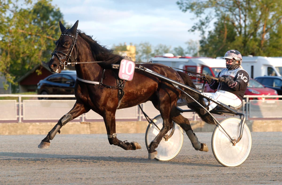 Hannah Gustavsson