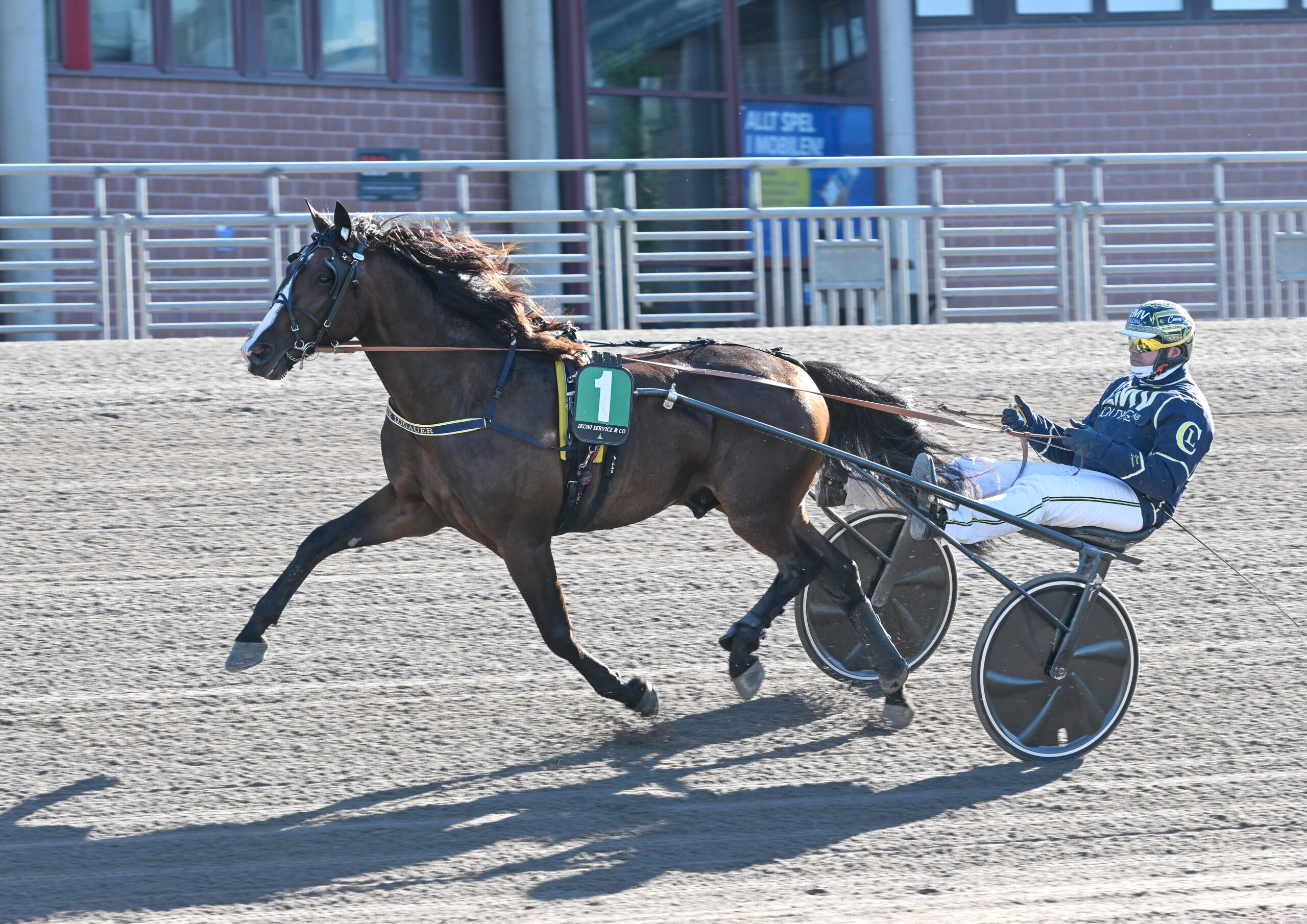 Foto: Lars Jakobsson, TR Bild