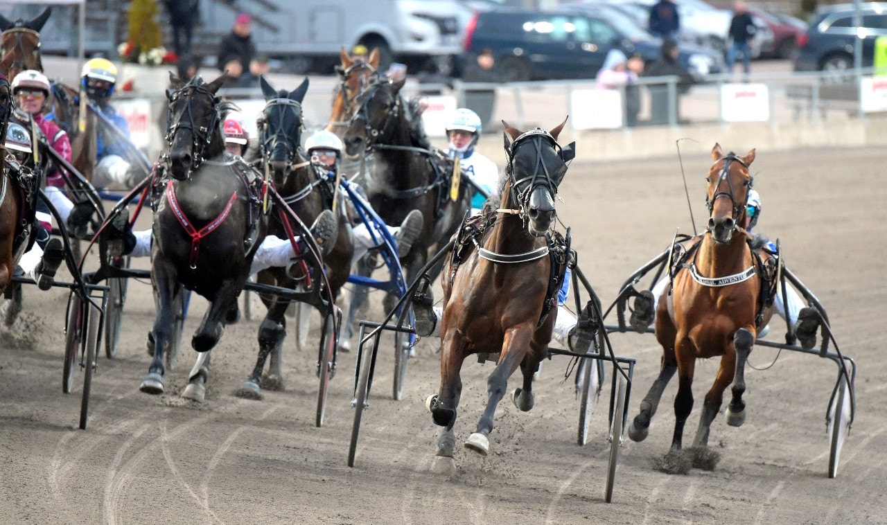 Brother Bill på väg mot segern i Breeders Crown förra året. Han finns med också i årets finaler som körs på söndag. Foto: Martin Langels, ALN