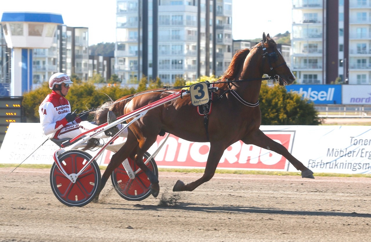 Lionel kan vara på väg mot en ny VM-start sedan Hillary B.R. tackat nej. Foto: Hanold, ALN