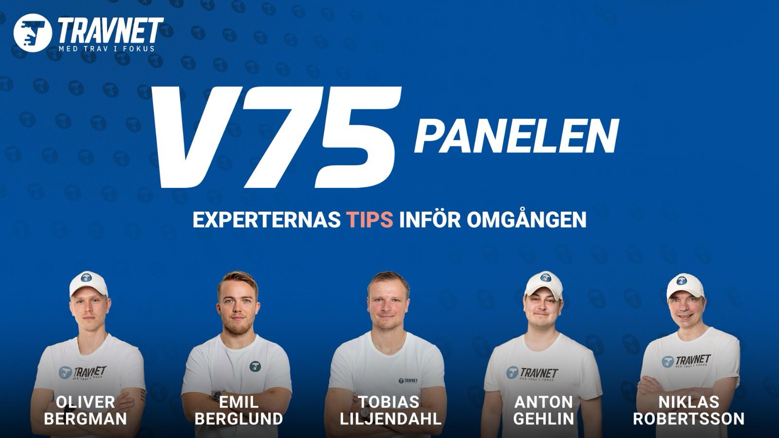 Panelen V75