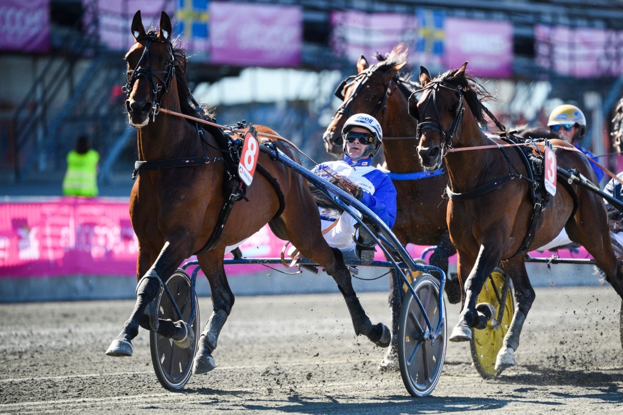 Nu är det klart. Ecurie D. gör sin debut mot den äldre eliten i Hugo Åbergs. Foto: Simon Hastegård, Bildbyrån