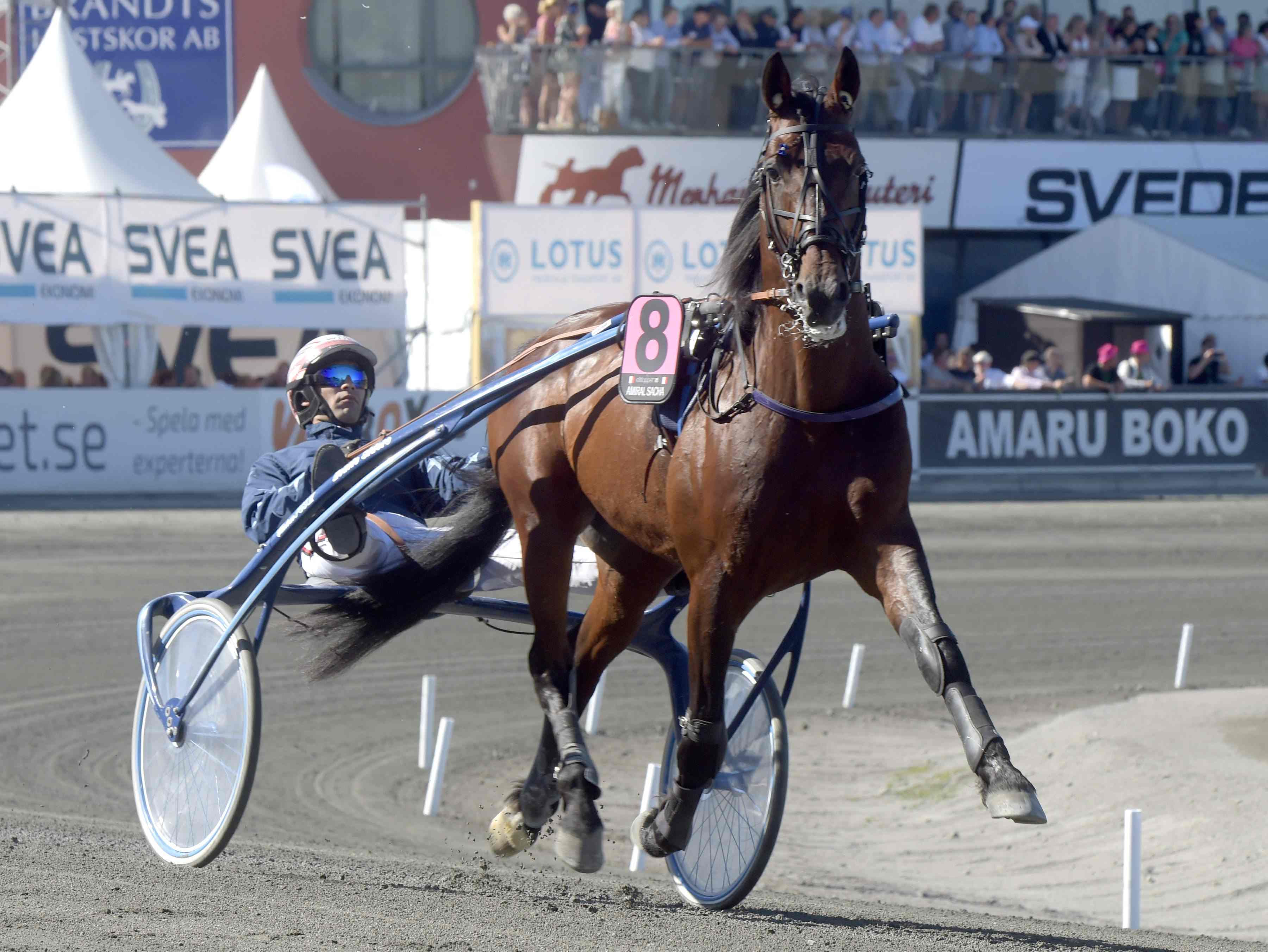 Klart för drabbningarna på Vincennes