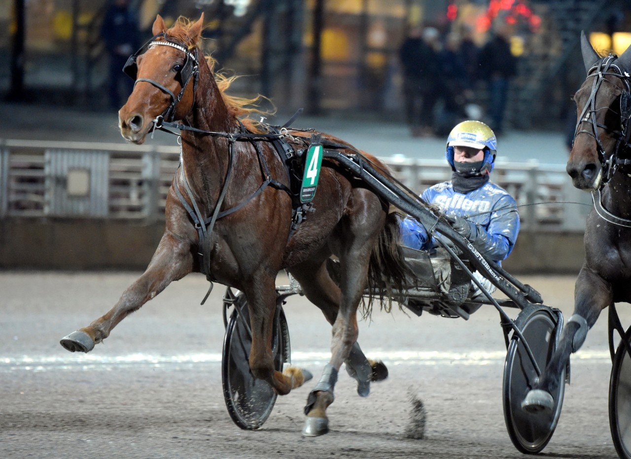 Custom Cheval - norsk Kriterie-tvåa på besök. Foto: Martin Langels, ALN