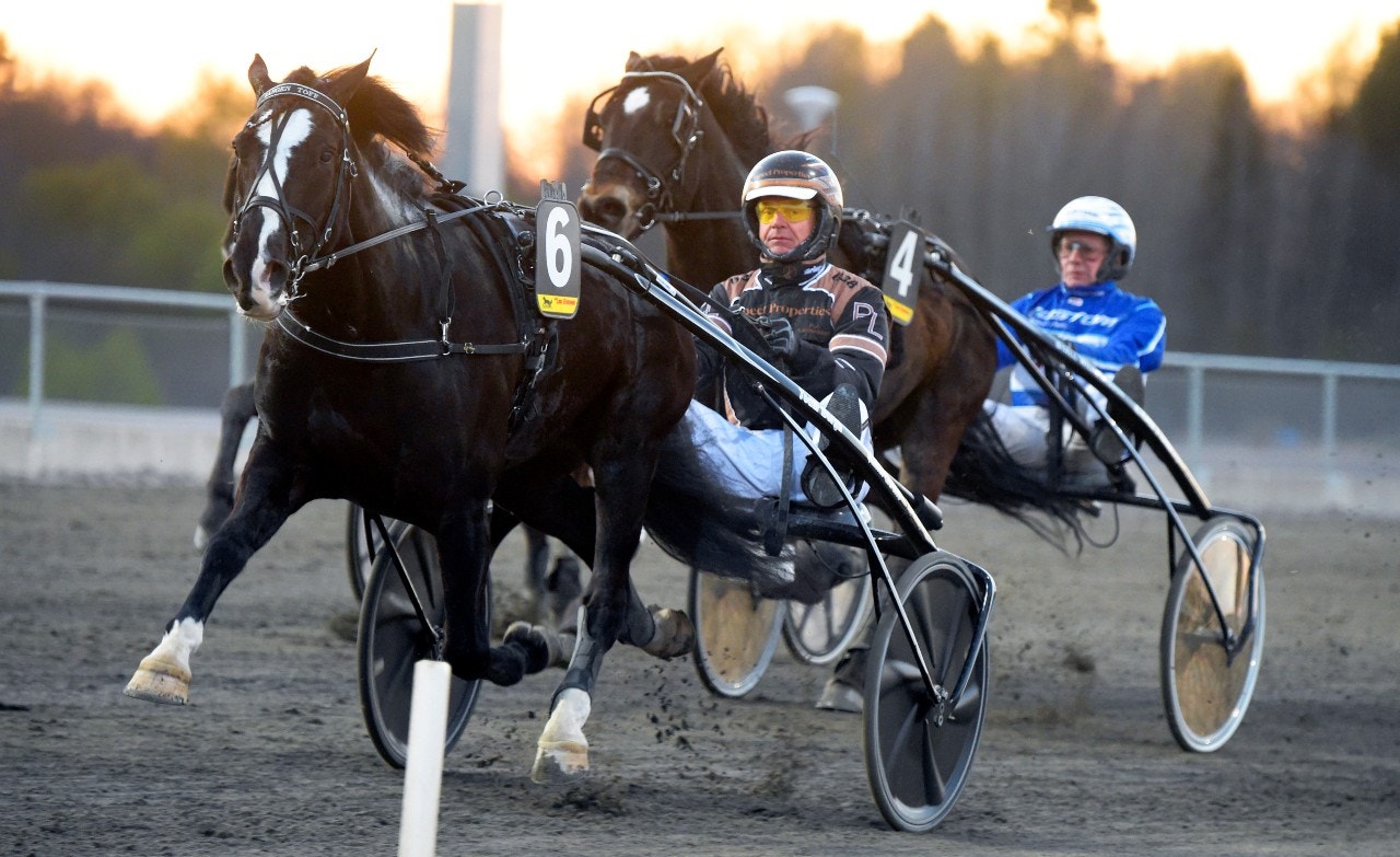 Tangen Töff ska ha bra chans i kväll. Foto: Martin Langels, ALN