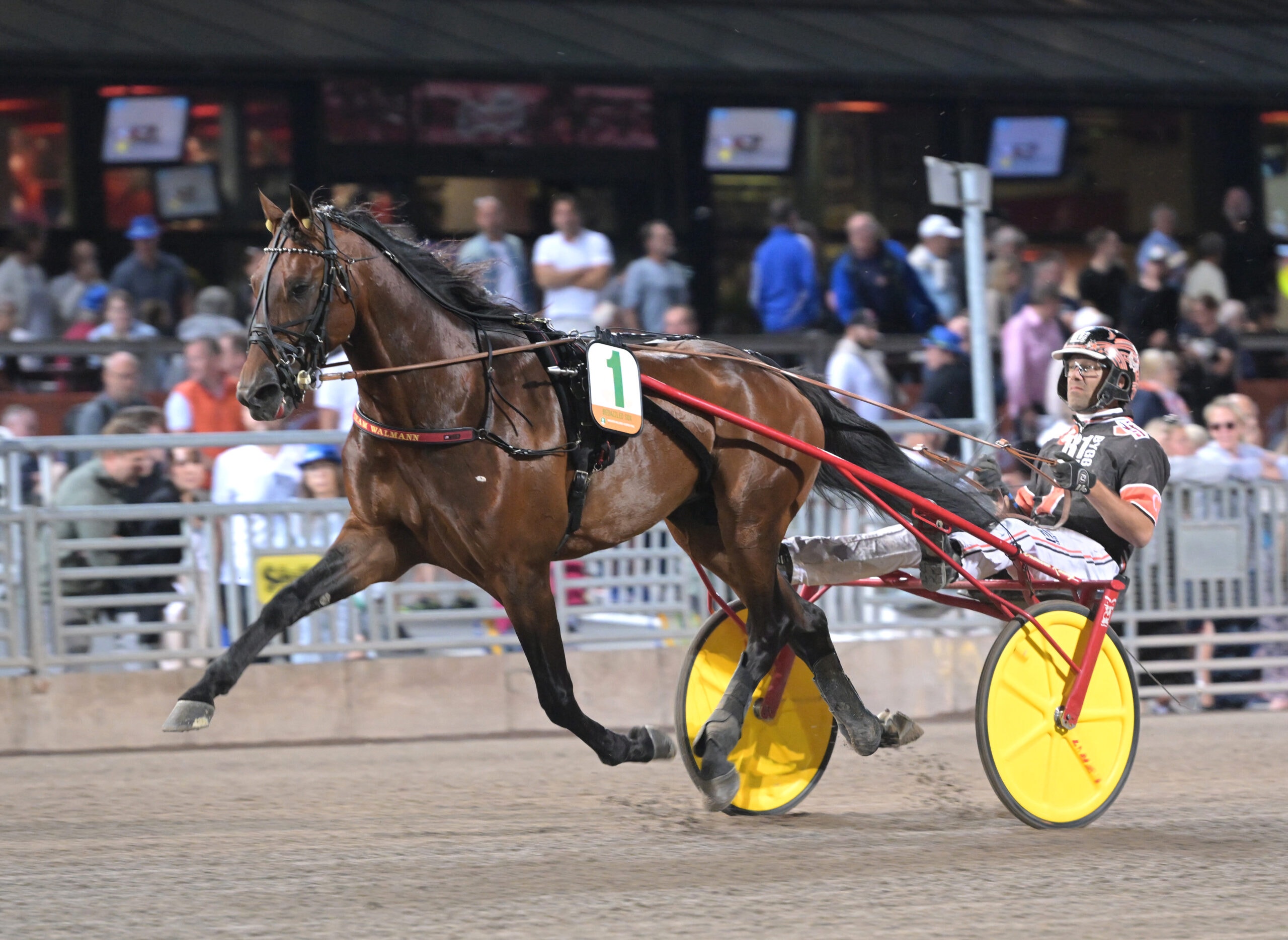 Tjuvkika: Här är stjärnorna i listorna