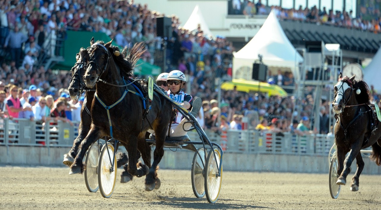 Hallsta Lotus är död