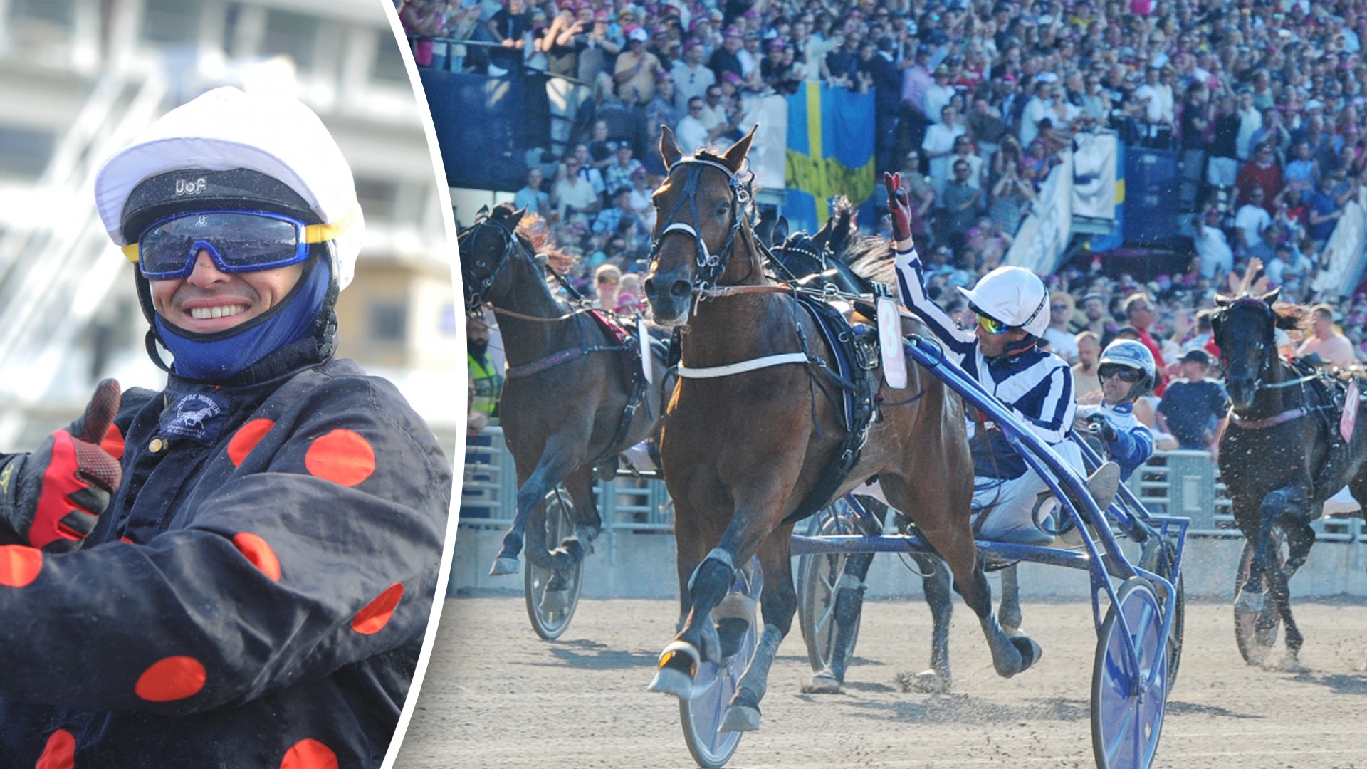 Foto: Adam Ström/stalltz.se