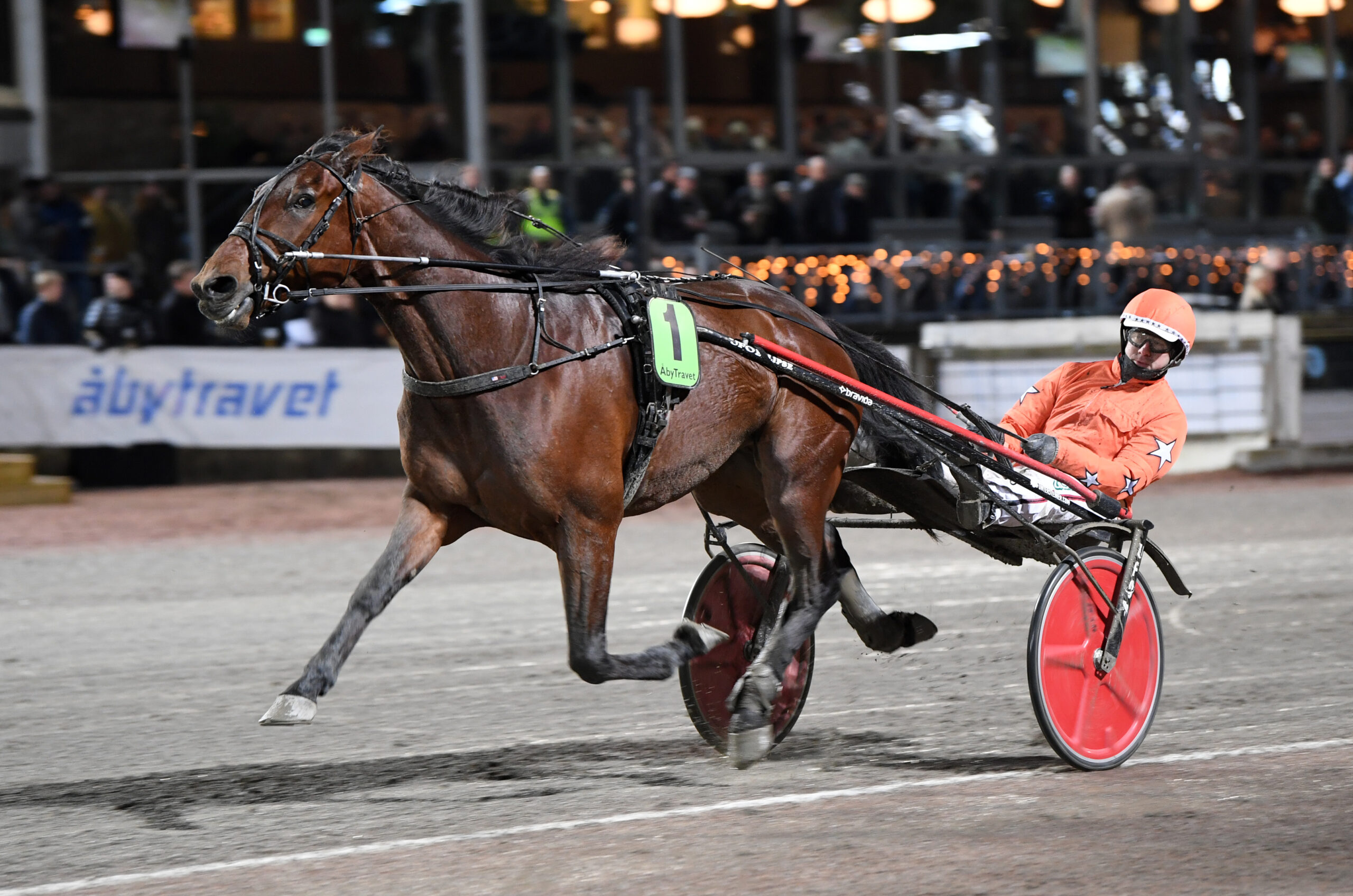 Foto: Malin Albinsson/TR Bild