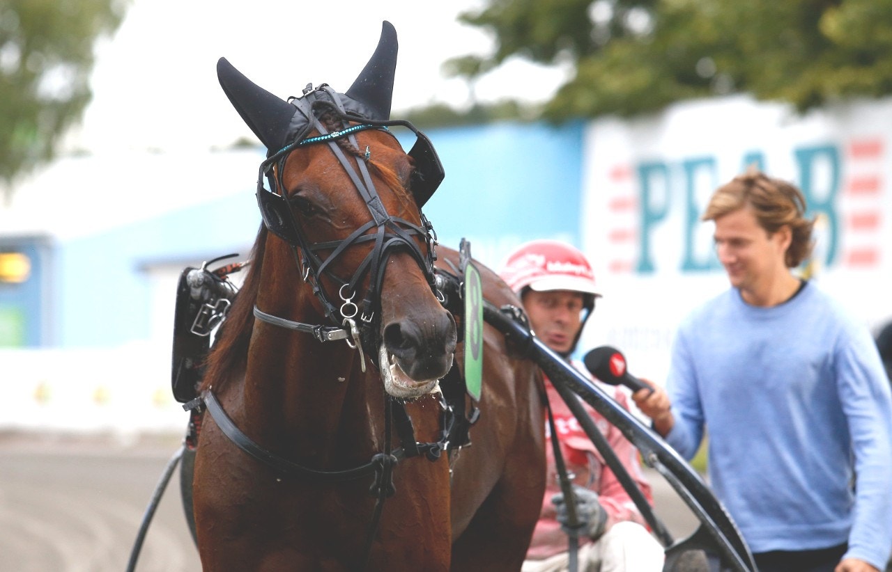 Segermaskinen till Niskanen