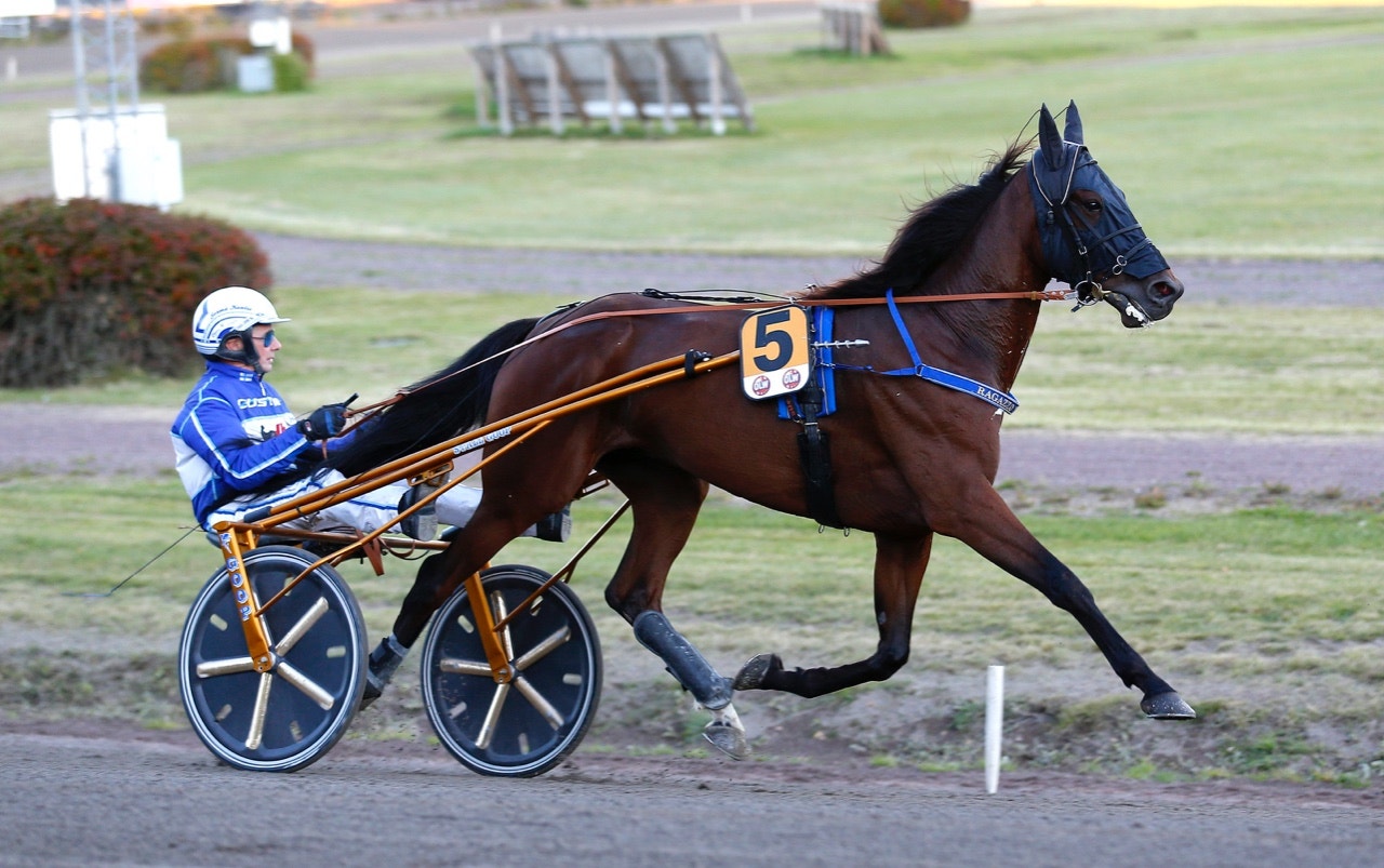Ragazzo Da Sopra ställde till med en sensation i Gulddivisionen - Foto: ALN