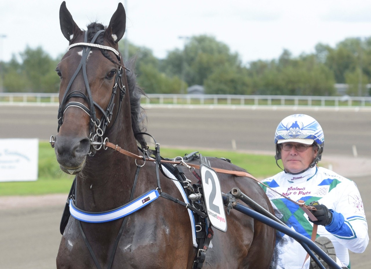 Jägersro 14 januari: Global Takeover - första spetsvinnaren