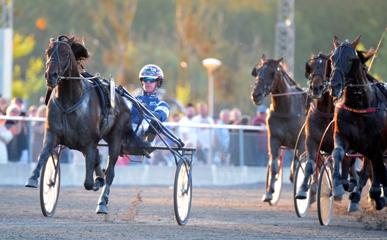Track Angle är spelet i avslutande loppet. Foto: ALN