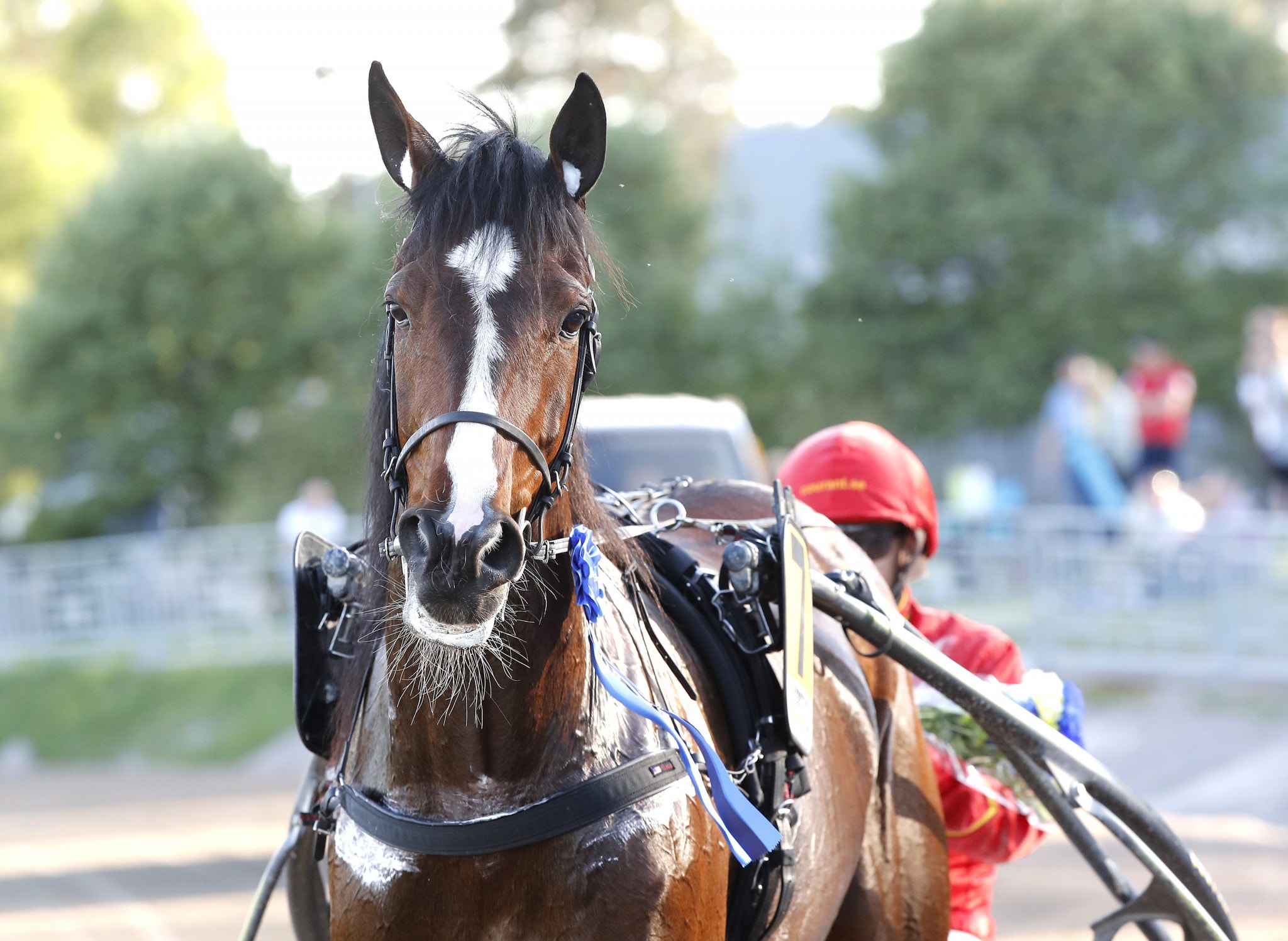 Elitloppshästar i möte på Kalmartravet