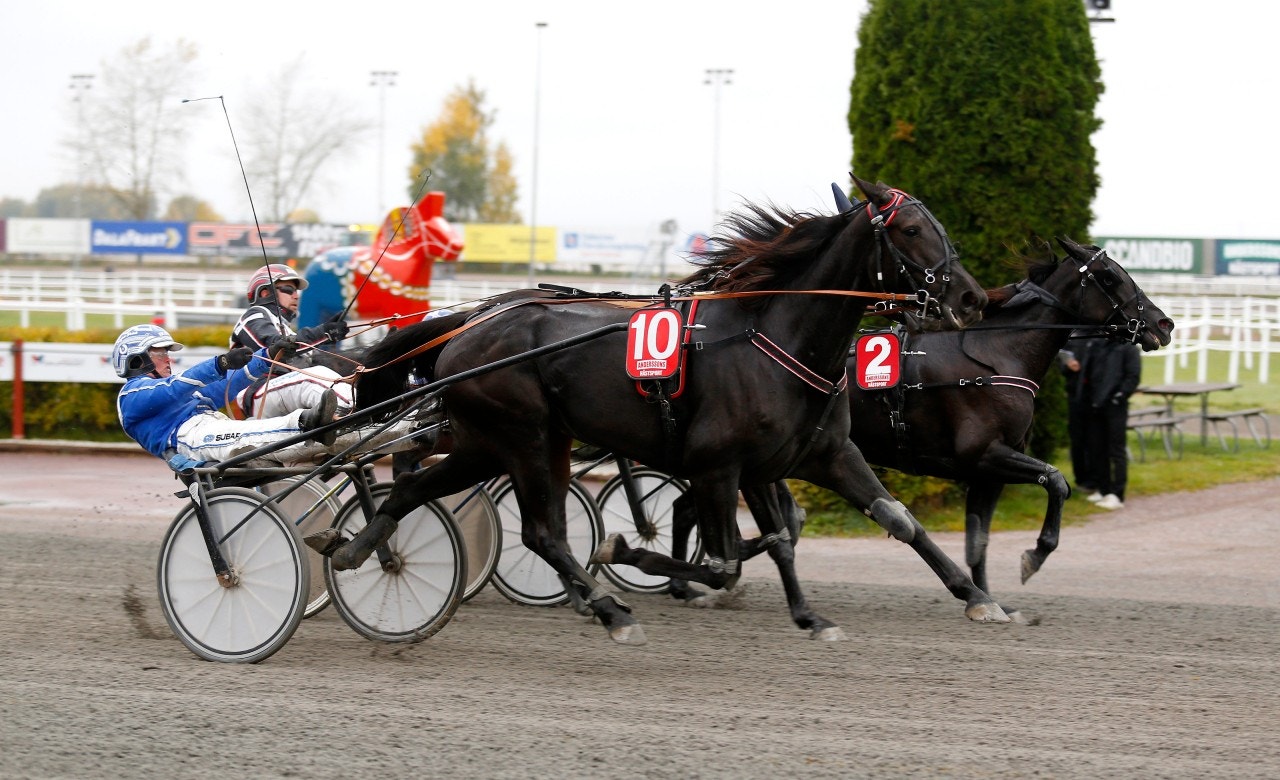 Bianca Sisa är ett av kvällens bästa spel. Foto: Hanold, ALN