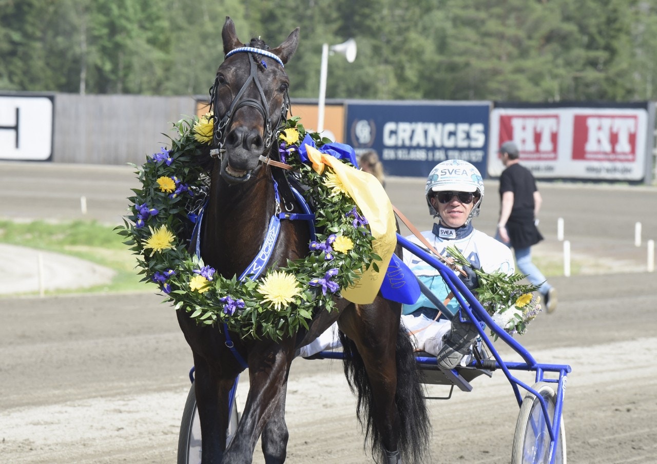 Hagmyren: Åsrud Vilja slog till med nytt svensk rekord